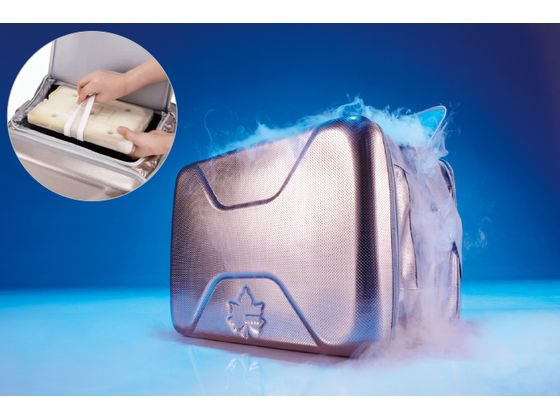 ロゴス ハイパー氷点下クーラー L 81670080が10,699円 通販