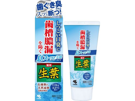 小林製薬 生葉I 息スーッと実感 100g