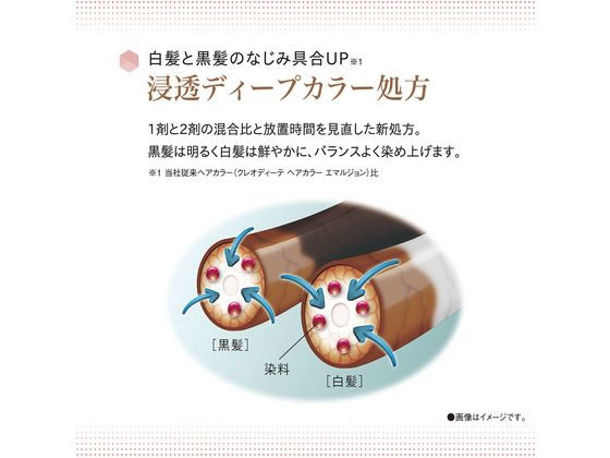 ダリヤ クレオディーテ クリアリーカラー シアーベージュが929円 通販