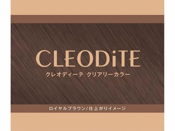 ダリヤ クレオディーテ クリアリーカラー ロイヤルブラウンが929円