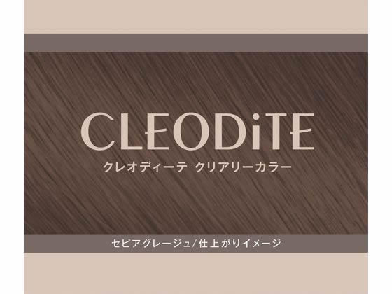 ダリヤ クレオディーテ クリアリーカラー セピアグレージュが929円
