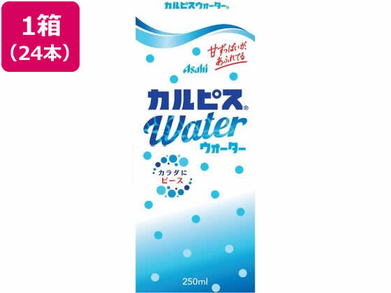 エルビー カルピスウォーター (LL) 紙パックスリム 24本 エルビー カルピスウォーター (LL) 紙パックスリム 24本