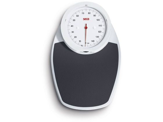 seca �A�i���O�t���b�g�X�P�[�� �̏d�v 25-3211-01 SECA750(�N��)