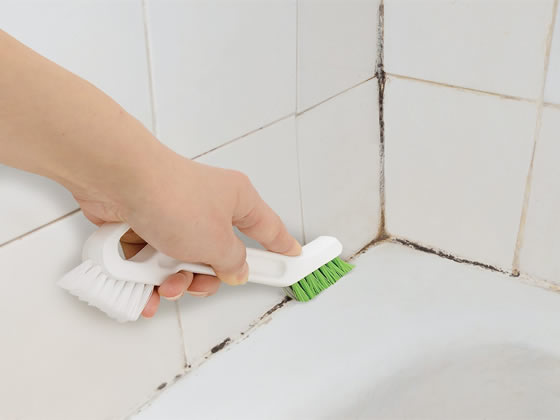 レック 激落ちくん 黒カビくん 目地研磨ブラシ Sが133円 ココデカウ