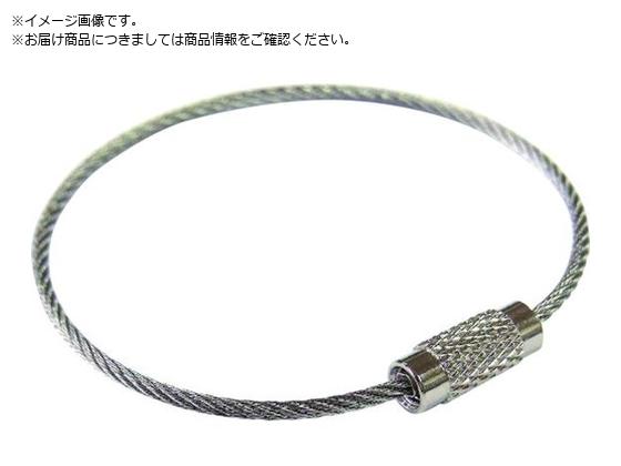 jbT`FC XeXL[C[ 100 SKE-101