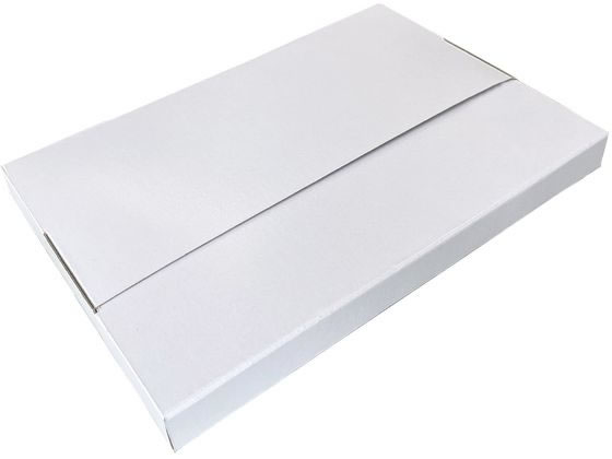 今村紙工 宅配BOX A5 160×220×20mm 白 10枚入 今村紙工 宅配BOX A5 160×220×20mm 白 10枚入