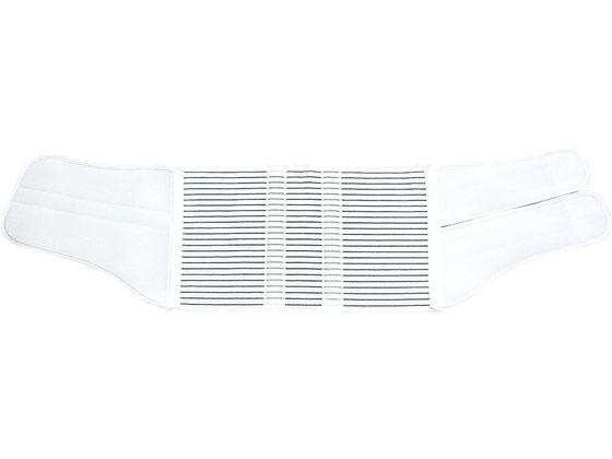 �A���P�A �T�N���t�B�b�N�X(LL)�A���P�A 10661(1�R�C��)