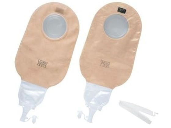 �A���P�A �Z���P�A2�ED�L���b�v(LL)23-5485-02 18913(10�}�C)