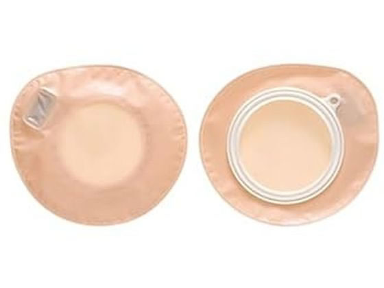 �A���P�A �v���P�A�[2�EM(50)�A���P�A 12172(10�}�C�C��)