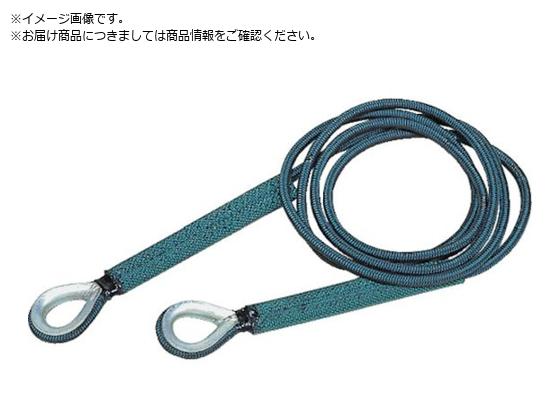 TRUSCO ZteBp[[v [Vu 6mmX5m SP-65C
