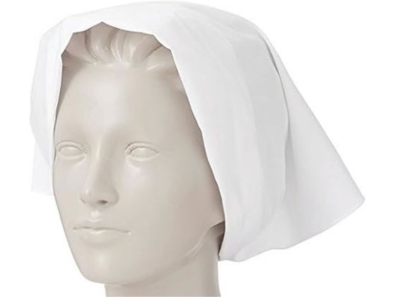 KAZEN WLD �O�p�z L �T�b�N�X 10���~10�� 477-31