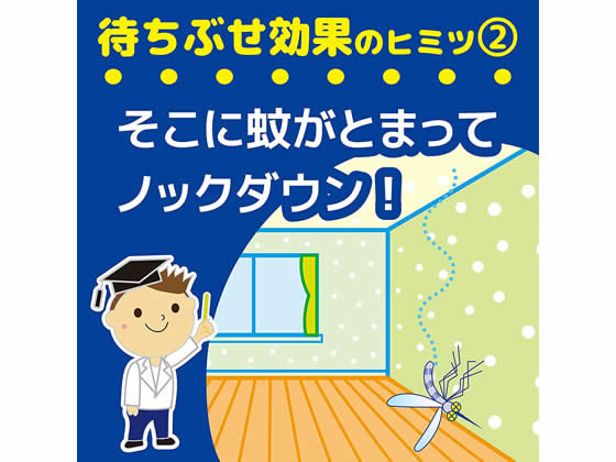 金鳥 蚊がいなくなるスプレー 0日 無香料 2本パックが1 9円 ココデカウ 金鳥 蚊がいなくなるスプレー 0日 無香料 2本パックが1 9円 ココデカウ