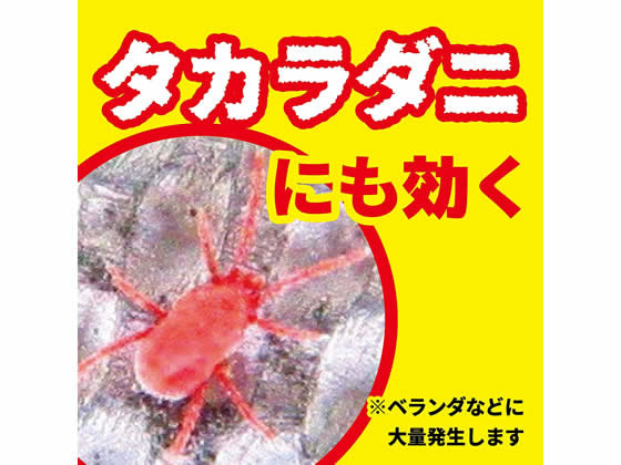 金鳥 イヤな虫キンチョール 450mlが646円 ココデカウ 金鳥 イヤな虫キンチョール 450mlが646円 ココデカウ