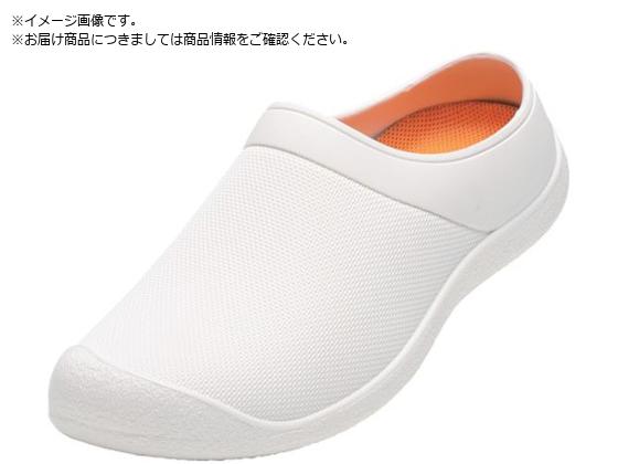 MARUGO hV[Y }_#61 zCg 24.0cm