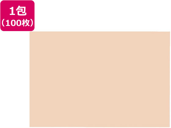 �剤���� �Đ��F��p�� 8�c��100�� ������������