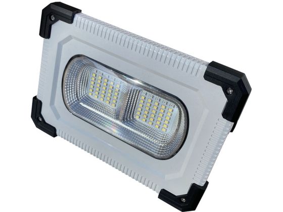 SHOWA �ǂ��ł����E���E���C�g SW21-03