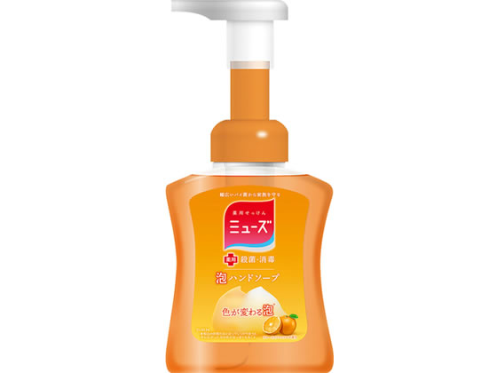 レキットベンキーザー 泡ミューズ フルーティフレッシュ 本体 250ML