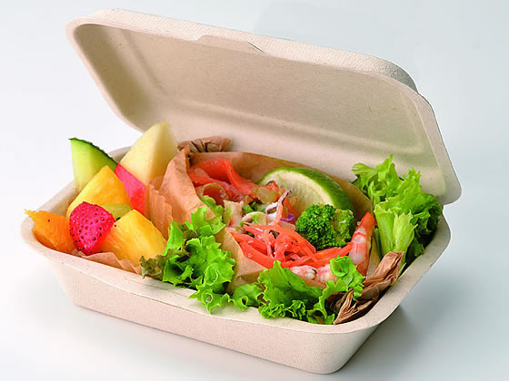 （まとめ）アートナップ モールドフードパック S EF-9125 1パック （25枚） 〔×10セット〕(代引不可) ポイント20倍（まとめ）アートナップ モールドフードパック S EF