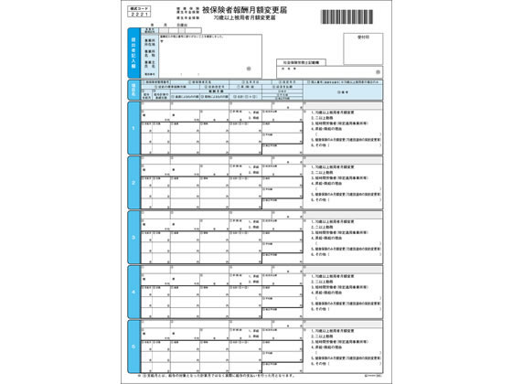 ヒサゴ 健康保険月額変更届 A4 100枚 OP940