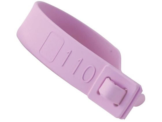 �\�t�g���f�B�J�� ��q�l�[���o���h(���ŋ�)���Ҏ��ʃo���h 24-2557-0003 �s���N SM-822(100�|���C��)