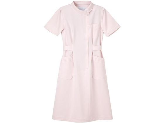 �i�K�C���[�x�� �Ō�� ���� M �s���N CA-1707