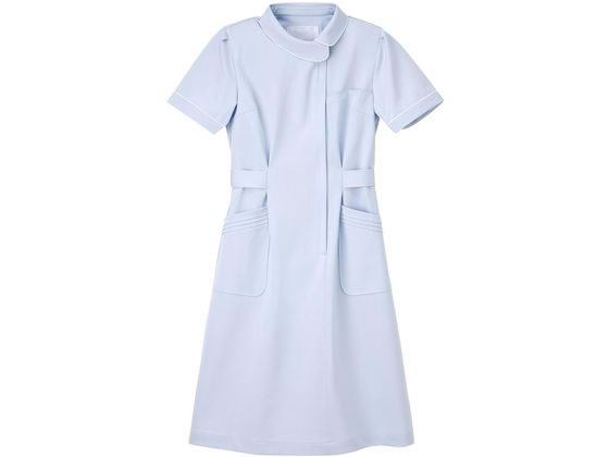 �i�K�C���[�x�� �Ō�� ���� L �u���[ CA-1707