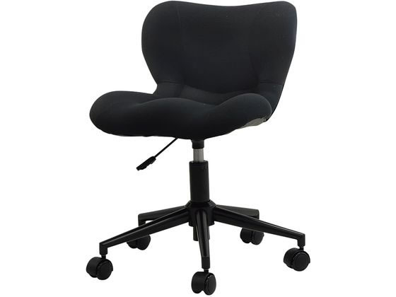 �j�V�L�H�� ����Ǝp�����ǂ��Ȃ鍘�ɑ΍�`�F�A�[ �u���b�N BSSI-BL