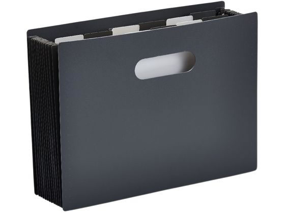 キングジム サクッと整理ドキュメントファイル オープン A4 黒 2291-BK キングジム サクッと整理ドキュメントファイル オープン A4 黒 2291-BK