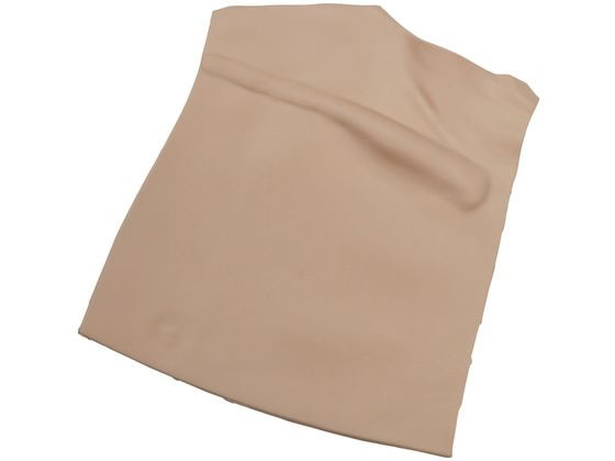 �o�C�I�X�L�� �����p�畆 ���˃V�~�����[�^�[�p�i 25-2485-10 CVP-01