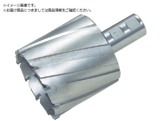 日東 ジェットブローチ 65X75L 14965 NO.14965 日東 ジェットブローチ 65X75L 14965 NO.14965