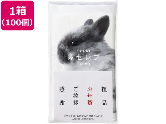王子ネピア 鼻セレブ ITSUMO+PLUS 48組×100パック