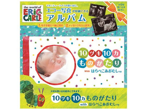 サンボンガワ アルバム絵本 10ツキ10カ物語 はらぺこあおむし サンボンガワ アルバム絵本 10ツキ10カ物語 はらぺこあおむし