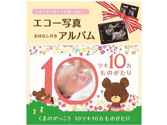 サンボンガワ アルバム絵本 10ツキ10カ物語 くまのがっこう サンボンガワ アルバム絵本 10ツキ10カ物語 くまのがっこう