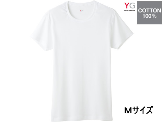 GUNZE YG COTTON100% N[lbNTVc zCgM 1 YV0013N