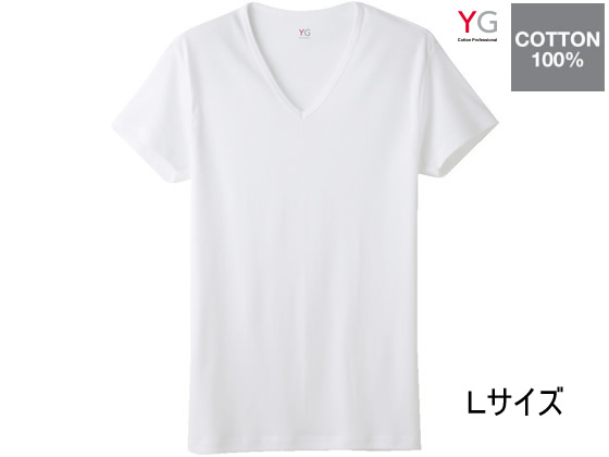 GUNZE YG COTTON100% VlbNTVc zCgL 1 YV0015N