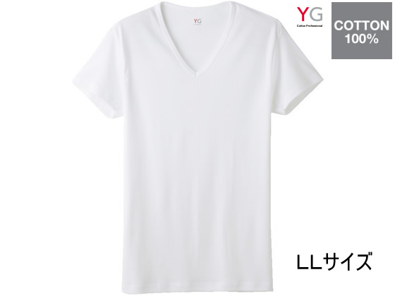 GUNZE YG COTTON100% VlbNTVc zCgLL 1 YV0015N