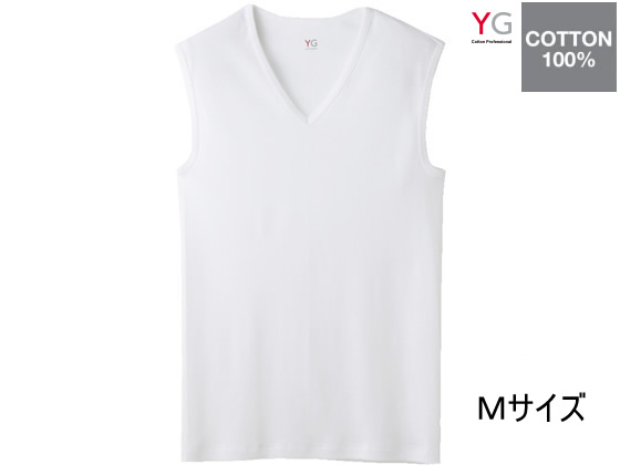 GUNZE YG COTTON100% VlbNX[uXVczCgM1 YV0018N