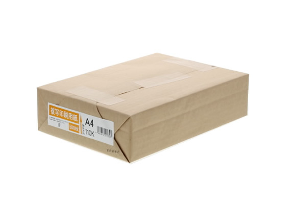 リコー 厚口コピー用紙 A4 110Kg 500枚 901441