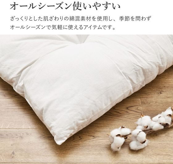 未使用 オリジナルクッション 座布団 白 ホワイト white バカラ