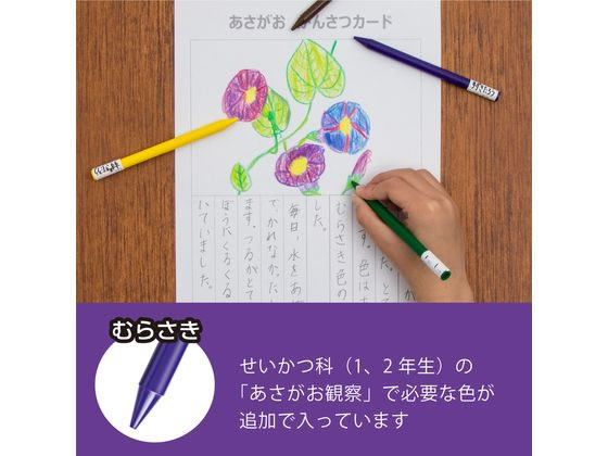 ぺんてる 小学校色えんぴつ 12色+3色 GCG1-12P3が796円 通販