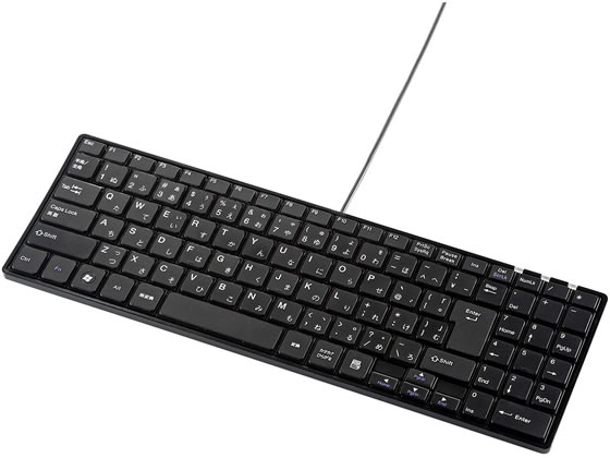 サンワサプライ 静音スリムキーボード テンキー付き ブラック SKB-SL19BK サンワサプライ 静音スリムキーボード テンキー付き ブラック SKB-SL19BK