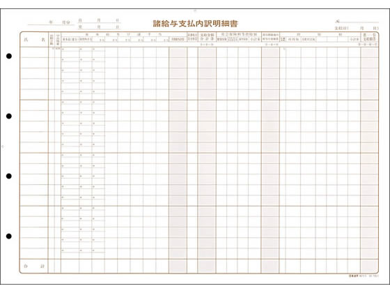 日本法令 諸給与支払内訳明細書 給与5