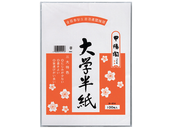 マルアイ 大学半紙 タ-914