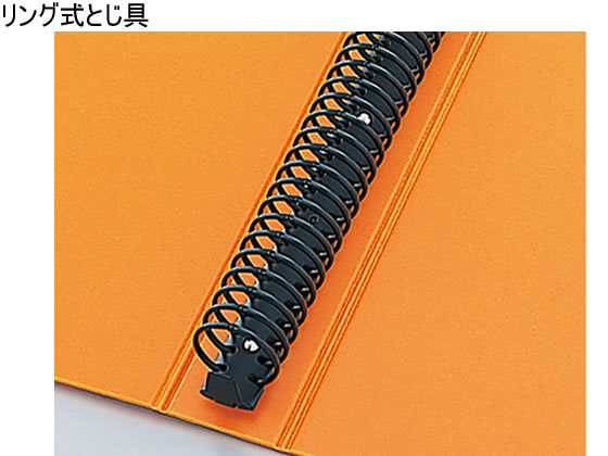 キングジム クリアーファイル ヒクタス バインダータイプ A4 30穴 背幅