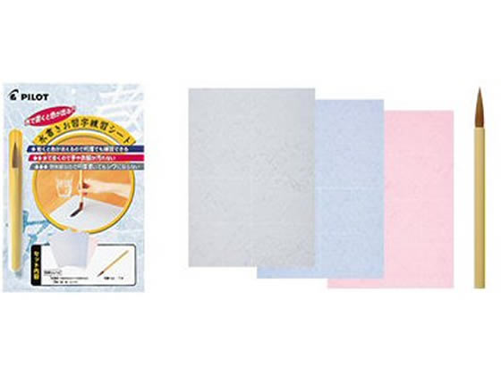 �p�C���b�g ���M�� ��3��+�ѕM1�{ MS-100P