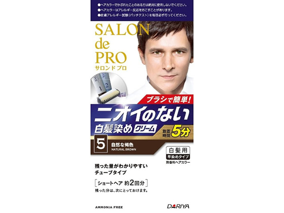 ダリヤ サロン ド プロ 無香料ヘアカラー メンズスピーディ 白髪用 5