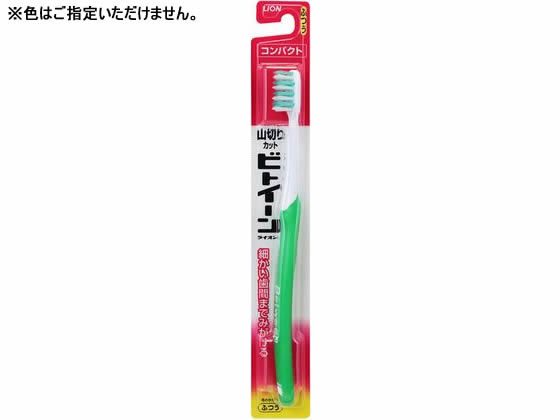 ライオン ビトイーンライオン コンパクト ふつう
