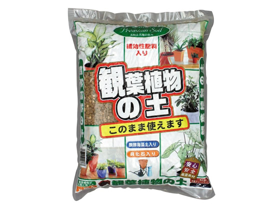 大宮GS 観葉植物の土 2L