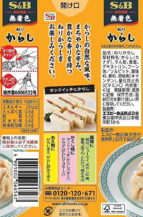風味推薦 ねりからし(43g) SB食品 ねりからし 43g | アミカ ネットショップ本店