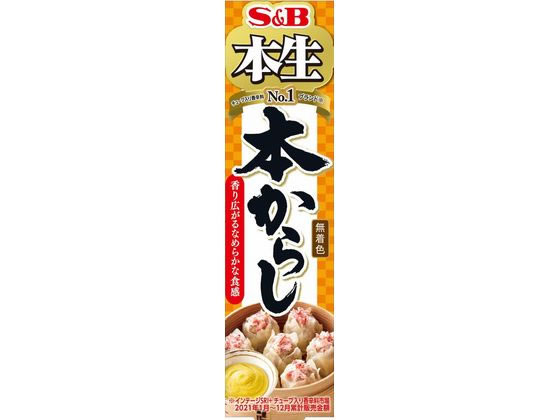 エスビー食品 本生 本からし43g エスビー食品 本生 本からし43g